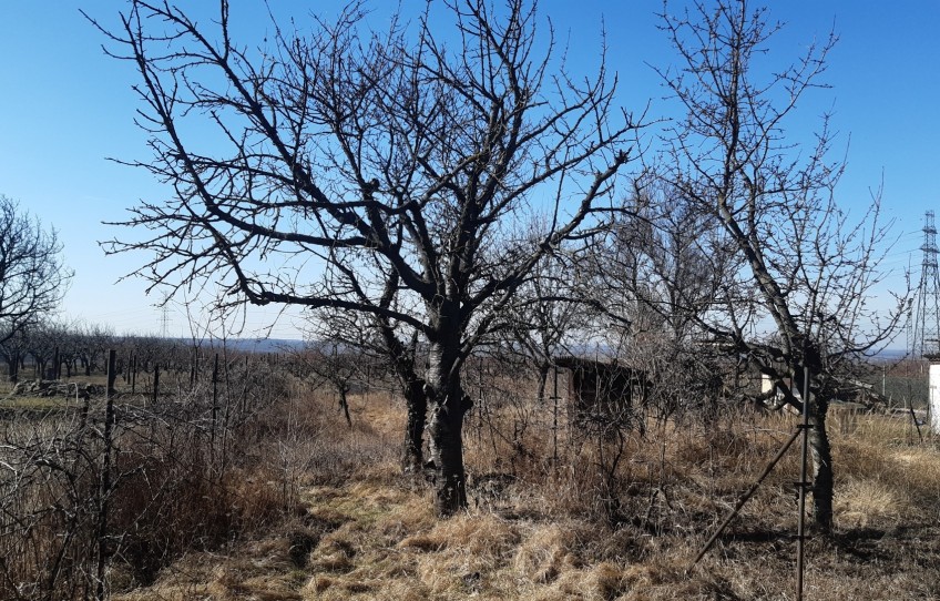 Érd Eladó Telek
