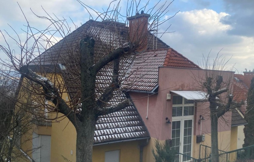 Budapest III. kerület Kiadó Lakás Flóra utca