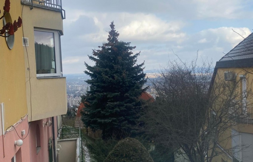 Budapest III. kerület Kiadó Lakás Flóra utca