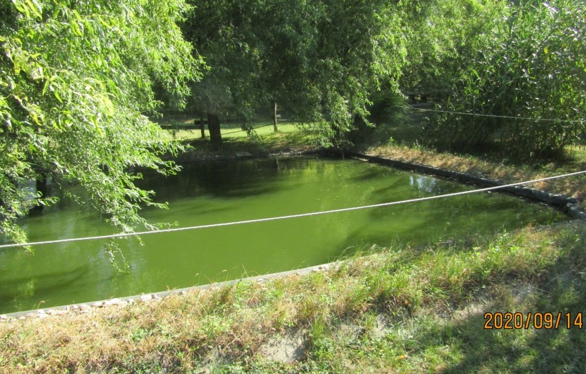 Petőfiszállás Eladó Mezőgazdasági