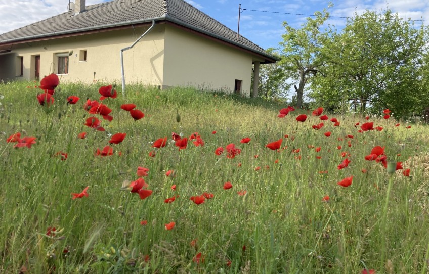 Kecskemét Eladó Ház