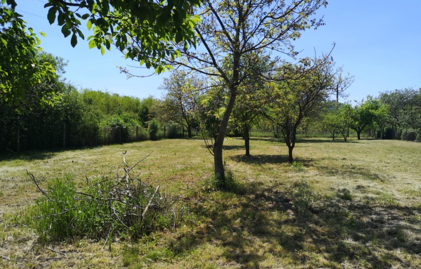 Doba Eladó Ház
