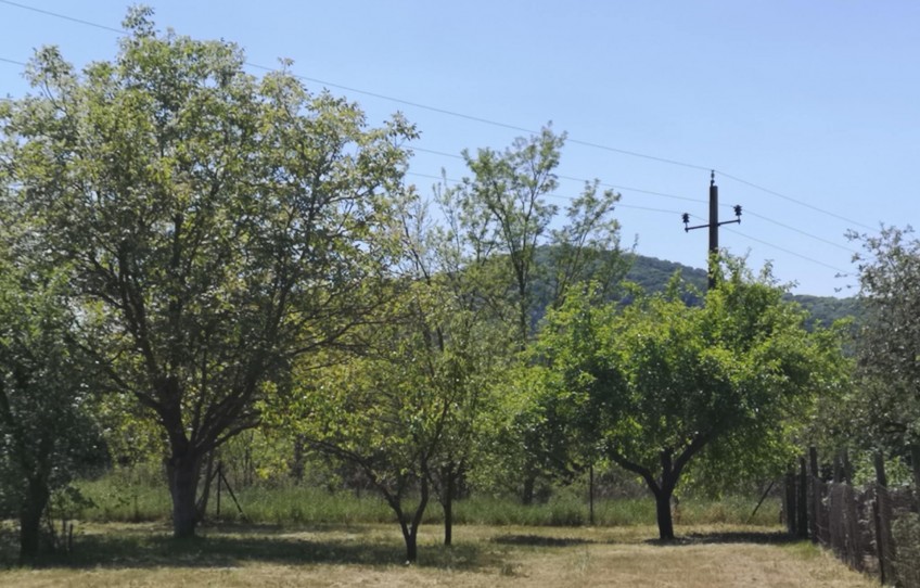 Doba Eladó Ház