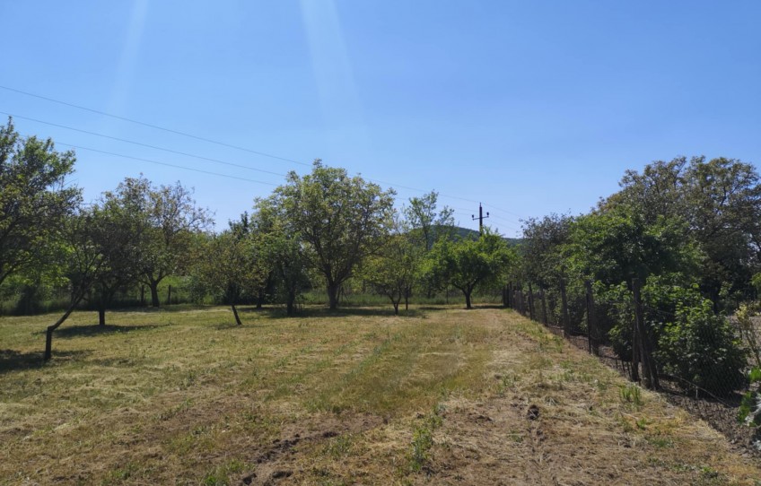 Doba Eladó Ház