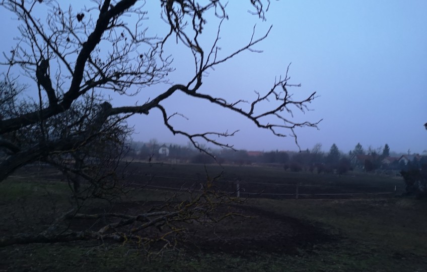 Márkó Eladó Telek