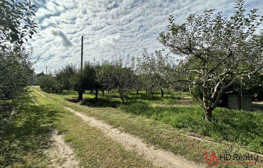 Győr Eladó Mezőgazdasági