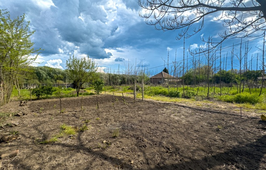 Tiszalúc Eladó Telek Széchenyi utca