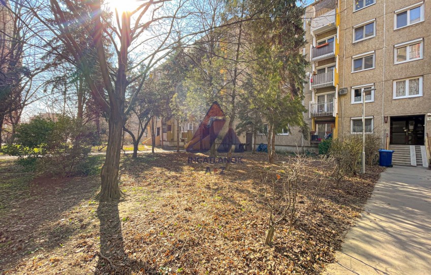 Budapest III. kerület Eladó Lakás Bebo Károly utca