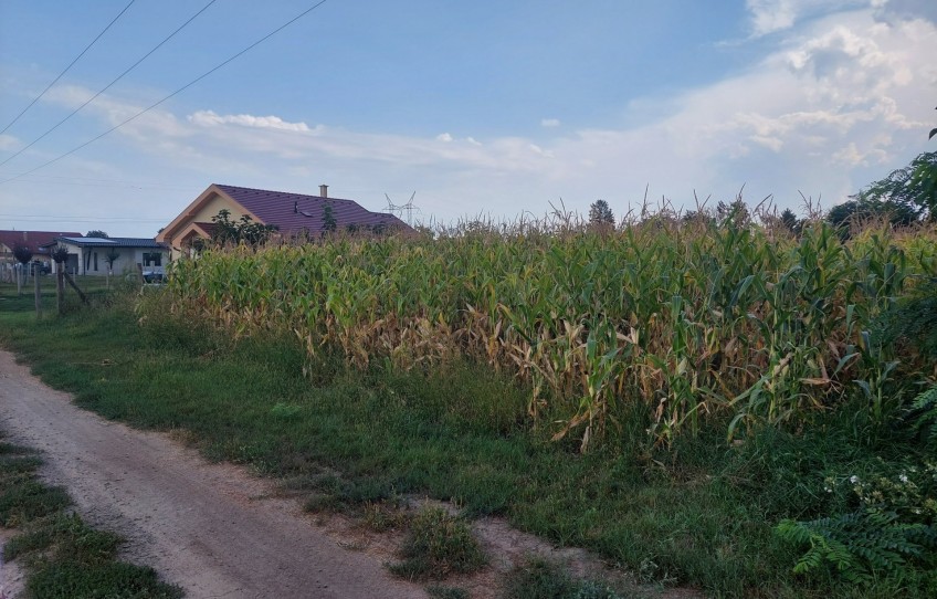 Debrecen Eladó Telek Gönczy Pál utca