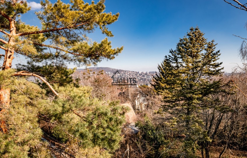 Budapest XII. kerület Kiadó Lakás Árnyas út