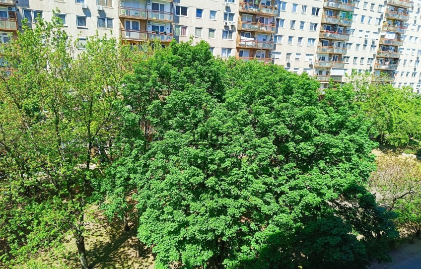 Budapest XIX. kerület Eladó Lakás Árpád utca