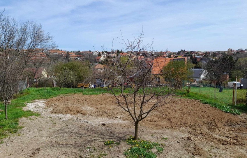 Pécs Eladó Lakás Sorház utca