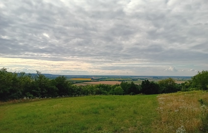 Győrság Eladó Telek