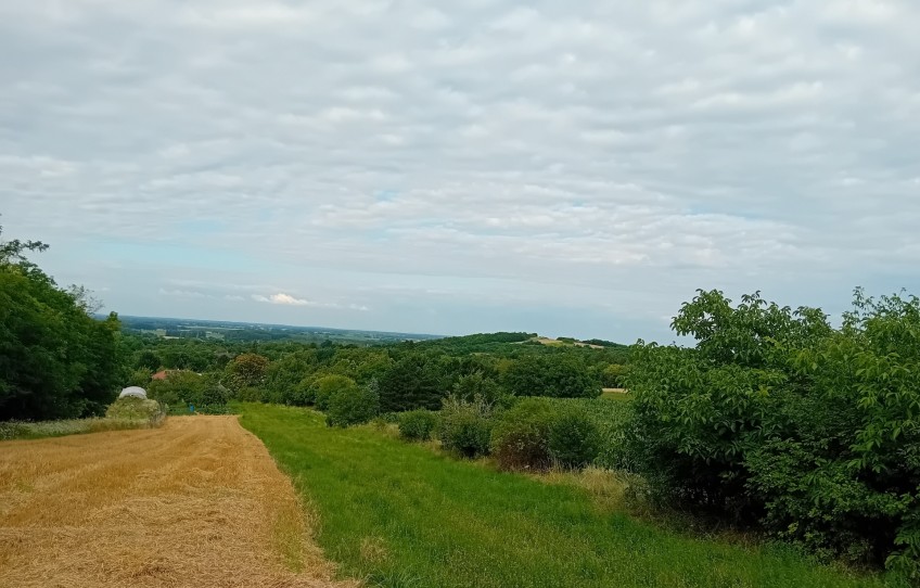 Győrság Eladó Telek