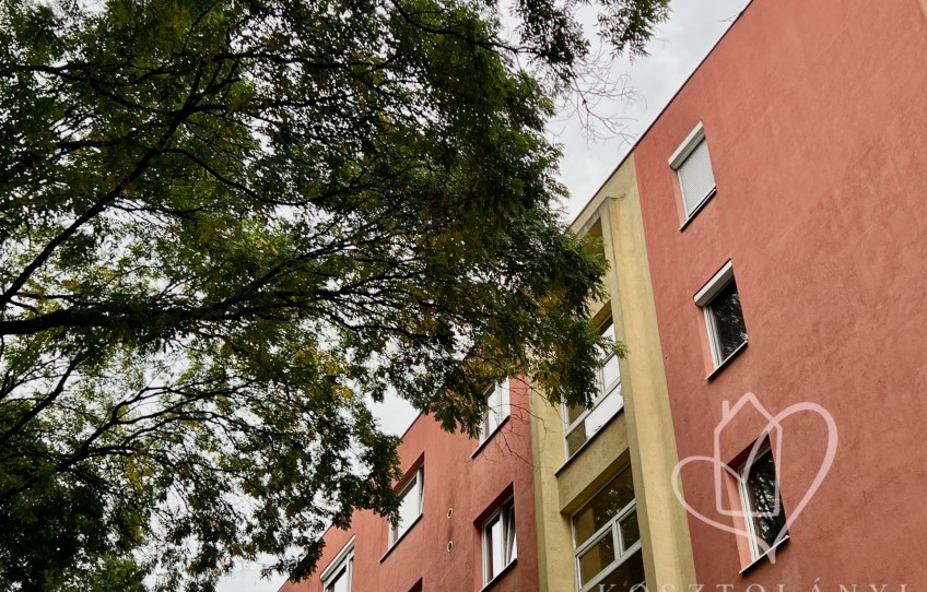 Miskolc Kiadó Lakás Hadirokkantak útja