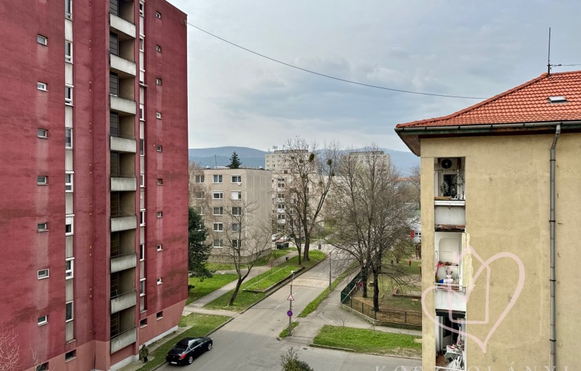 Miskolc Eladó Lakás Stadion utca