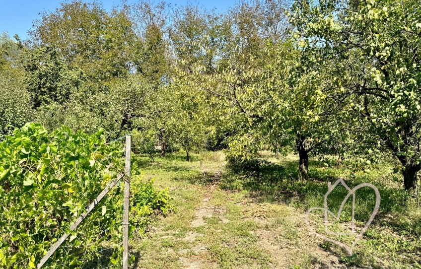 Kazincbarcika Eladó Ház Kiserdősor utca