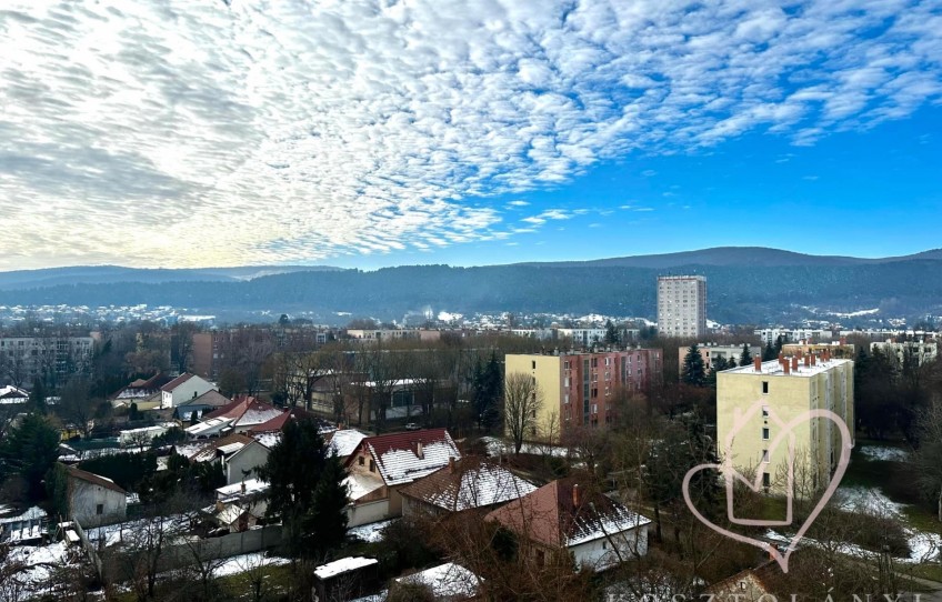 Miskolc Kiadó Lakás Árvíz utca