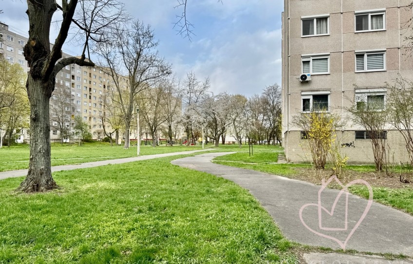 Miskolc Eladó Lakás Herman Ottó utca
