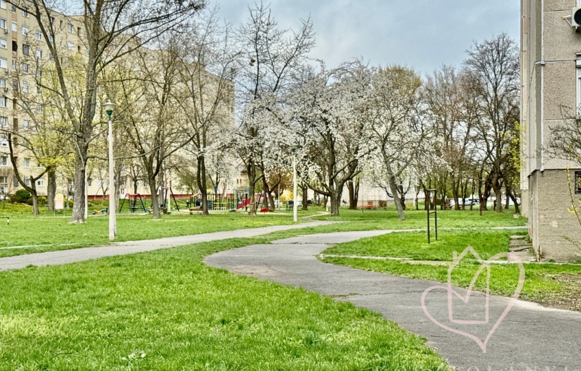Miskolc Eladó Lakás Herman Ottó utca