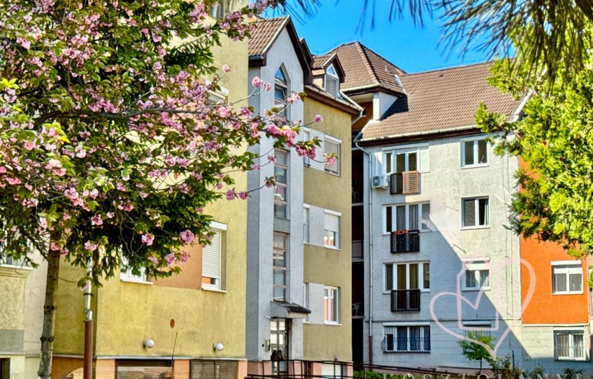Miskolc Eladó Lakás Dóczy József utca