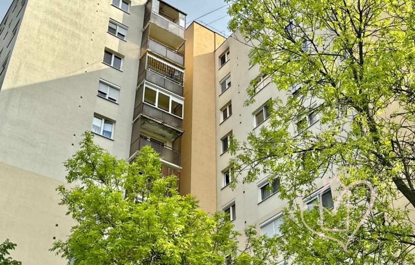 Miskolc Kiadó Lakás Kölcsey Ferenc utca