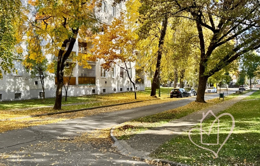 Miskolc Eladó Lakás Benedek Elek utca