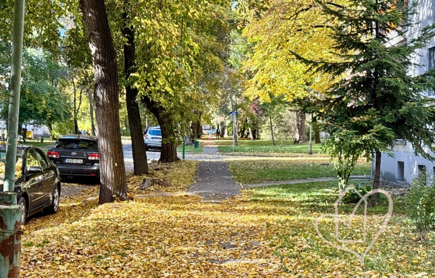 Miskolc Eladó Lakás Benedek Elek utca