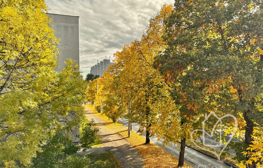 Miskolc Kiadó Lakás Győri kapu