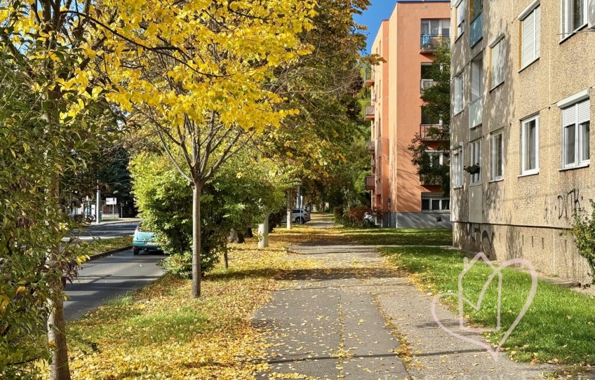 Miskolc Kiadó Lakás Győri kapu