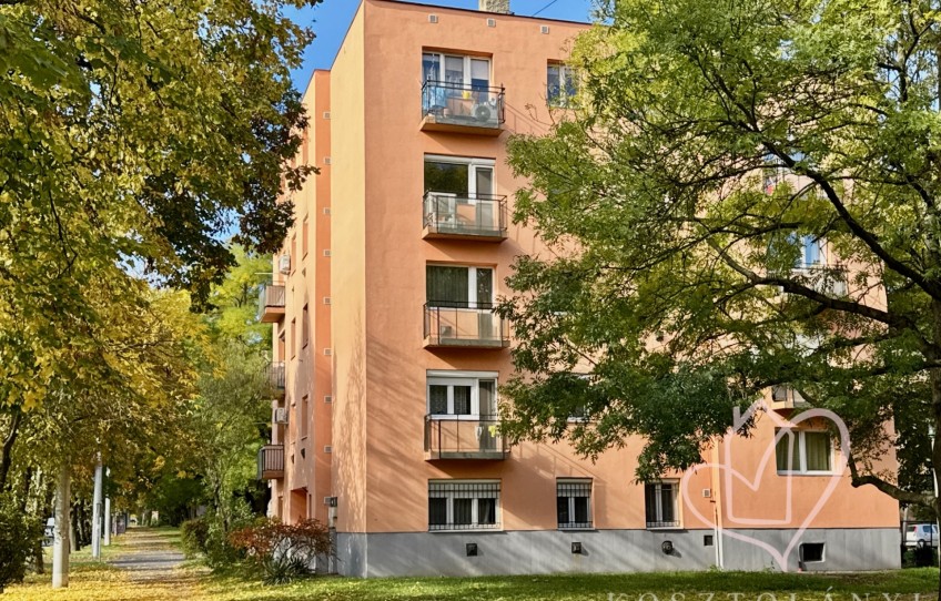 Miskolc Kiadó Lakás Győri kapu