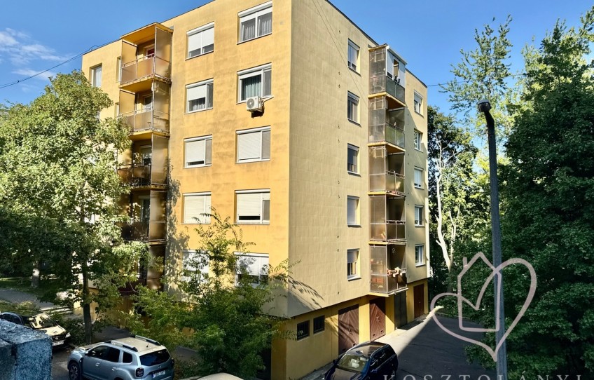Miskolc Eladó Lakás Gesztenyés utca