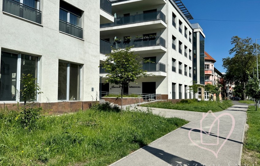 Miskolc Kiadó Lakás Hunyadi János utca