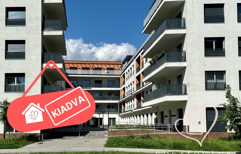 Miskolc Kiadó Lakás Hunyadi János utca