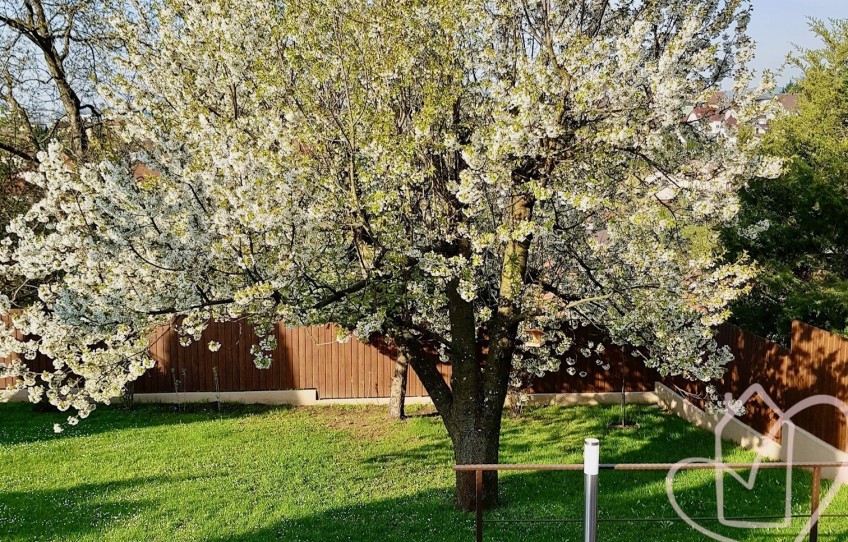 Miskolc Eladó Ház Bruckner Győző utca