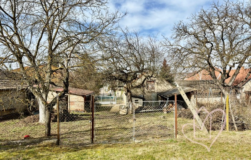 Abaújszántó Eladó Ház Arany János