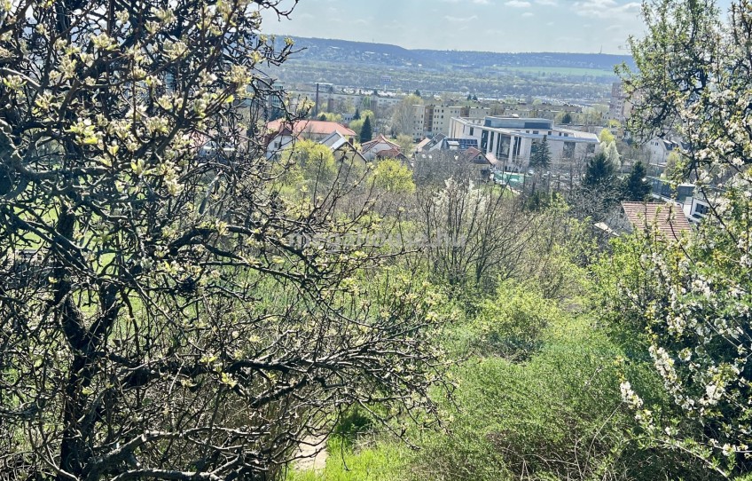 Budaörs Eladó Telek Domb utca