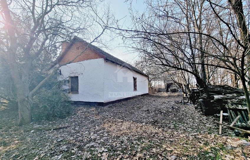 Csengele Eladó Telek Tanya