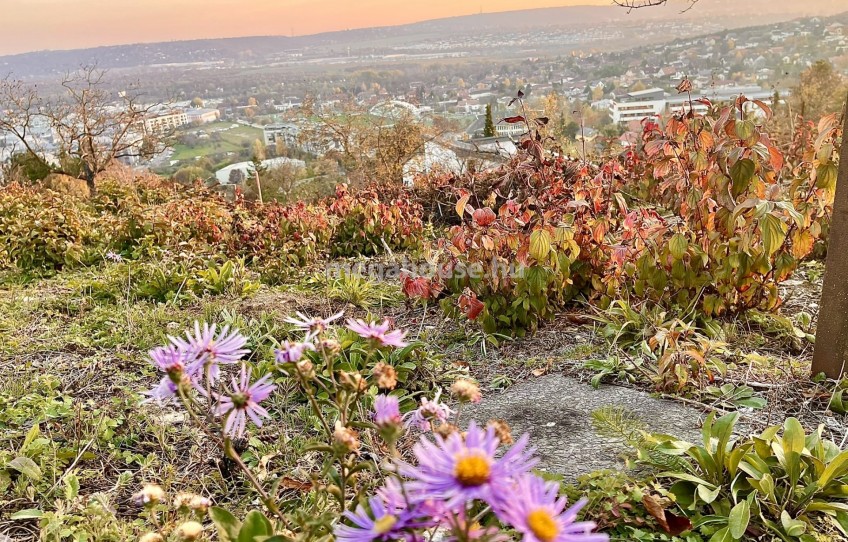 Budaörs Eladó Telek