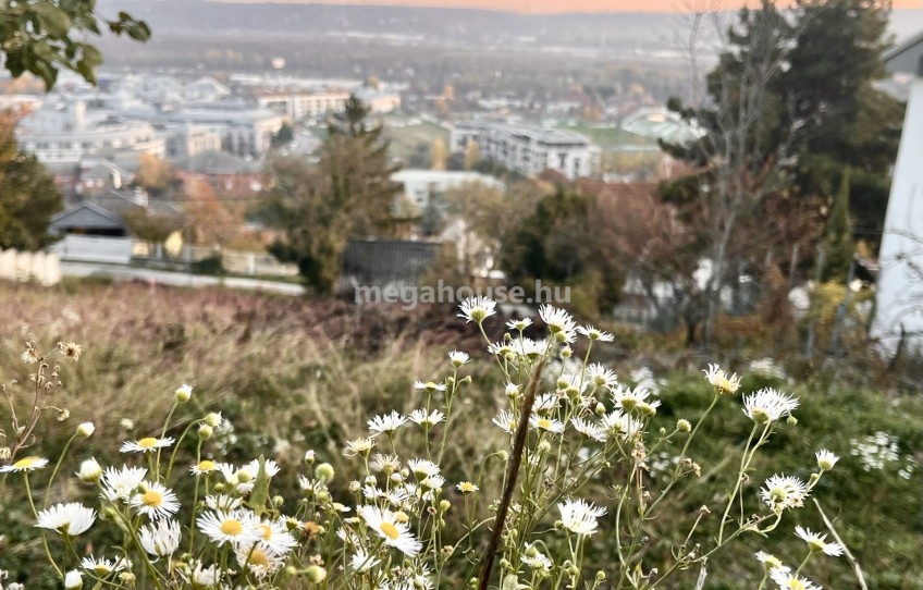 Budaörs Eladó Telek