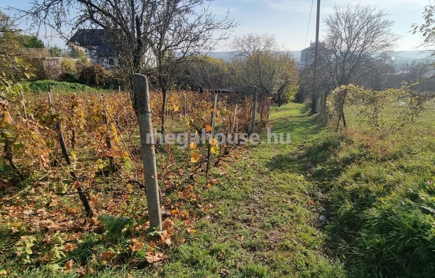 Budaörs Eladó Nyaraló