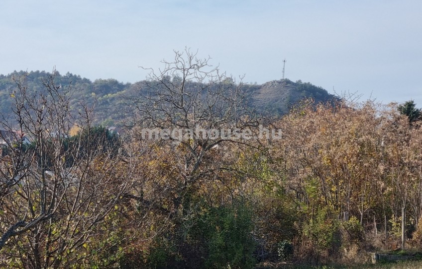 Budaörs Eladó Nyaraló