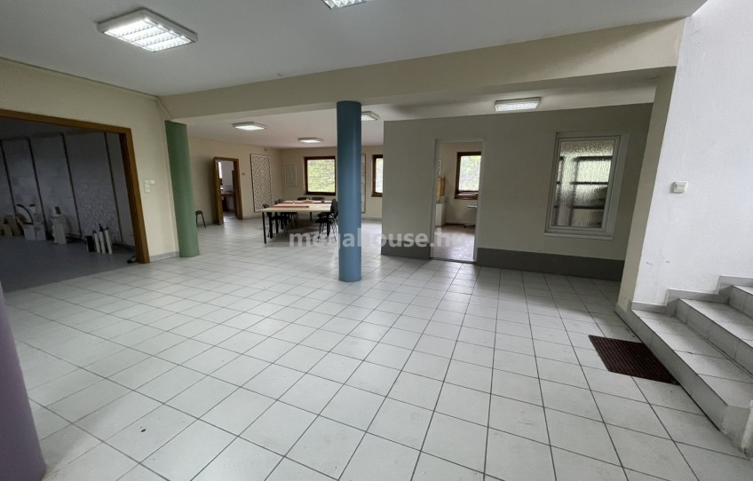 Dunaharaszti Eladó Ipari