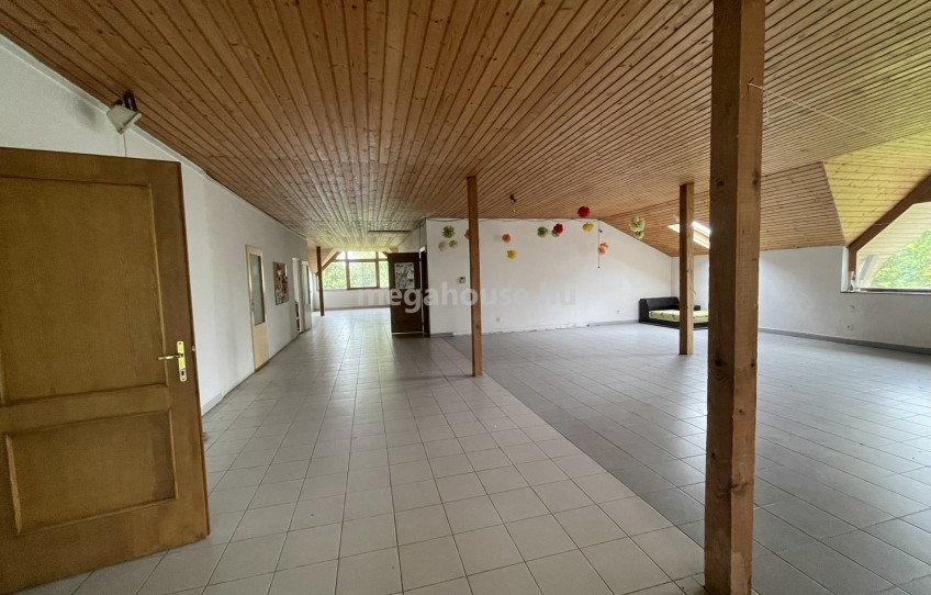 Dunaharaszti Eladó Ipari