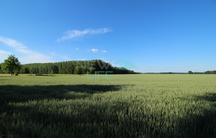 Kunsziget Eladó Telek