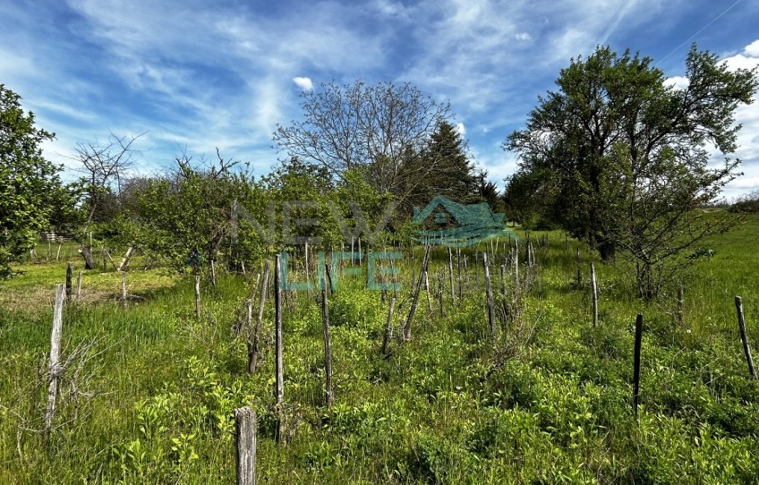 Győr Eladó Ház