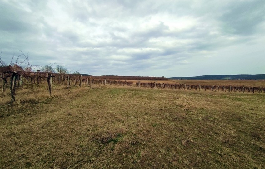 Balatoncsicsó Eladó Telek