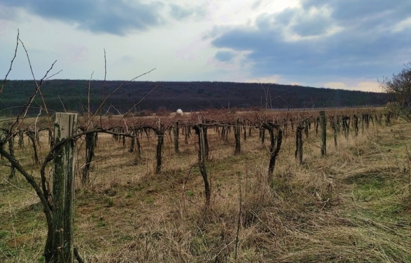 Balatoncsicsó Eladó Telek