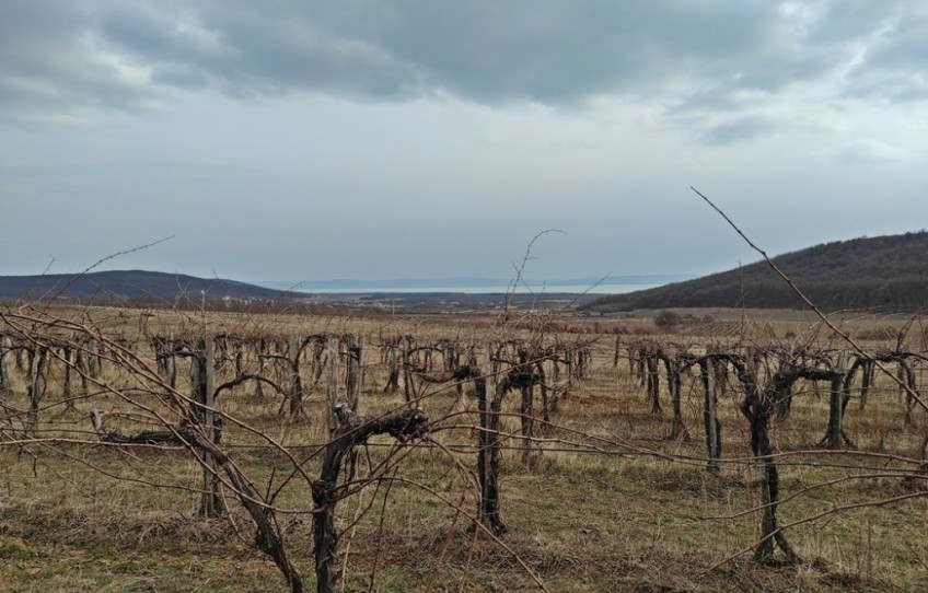 Balatoncsicsó Eladó Telek