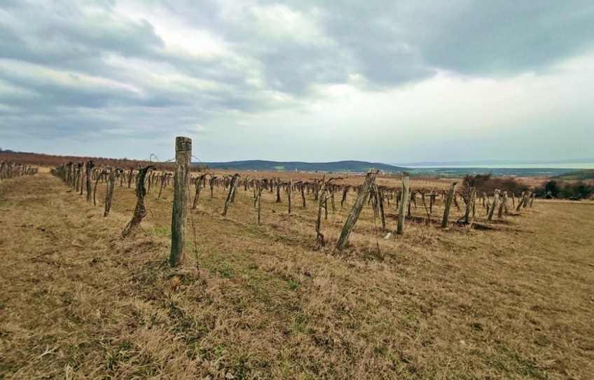 Balatoncsicsó Eladó Telek